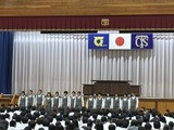 tcs-4