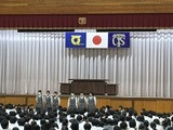 tcs-6