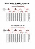 平成29年度四国高校ャtトボール選手権大会結果_1